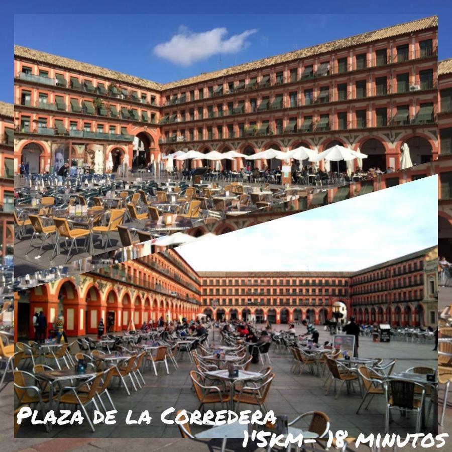 Tati Flat - "Parking Facil" Apartman Córdoba Kültér fotó